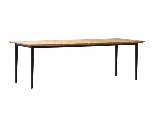bowi-1238669