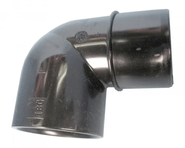bowi-1238849