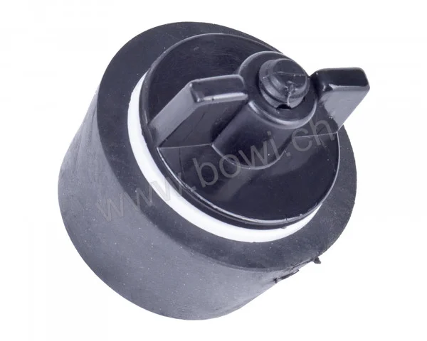 bowi-1239166