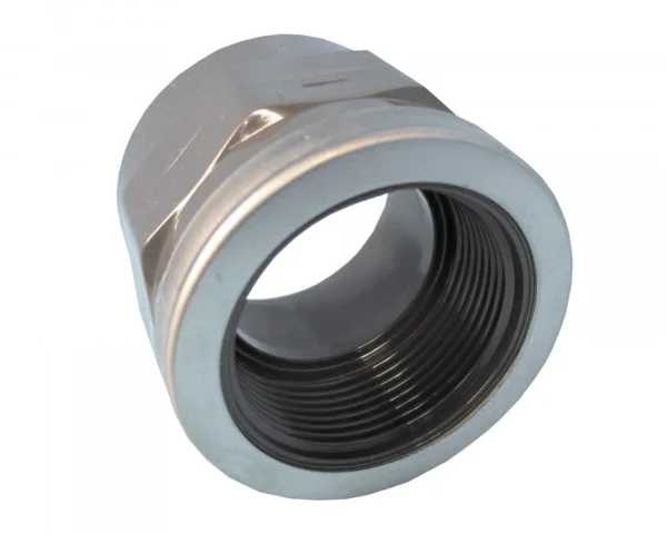 bowi-1239204