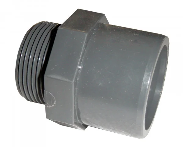 bowi-1239227