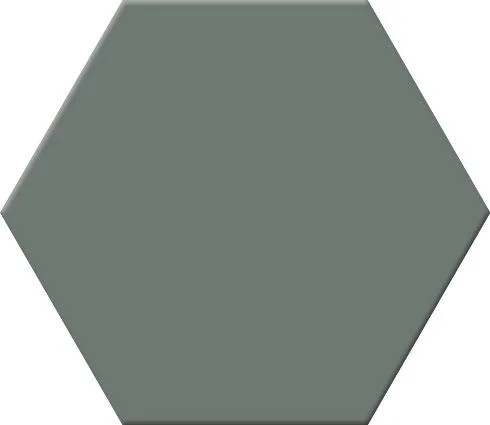 hgc2-1325276