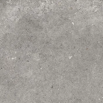 hgc2-1393537
