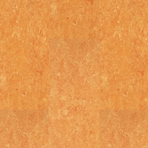 koempf24-1164664