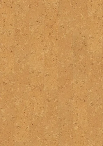 koempf24-1164675