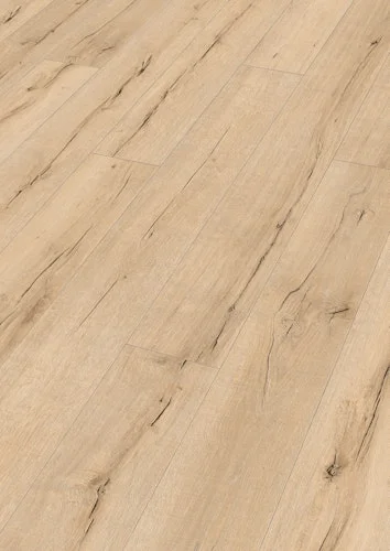 koempf24-1165582