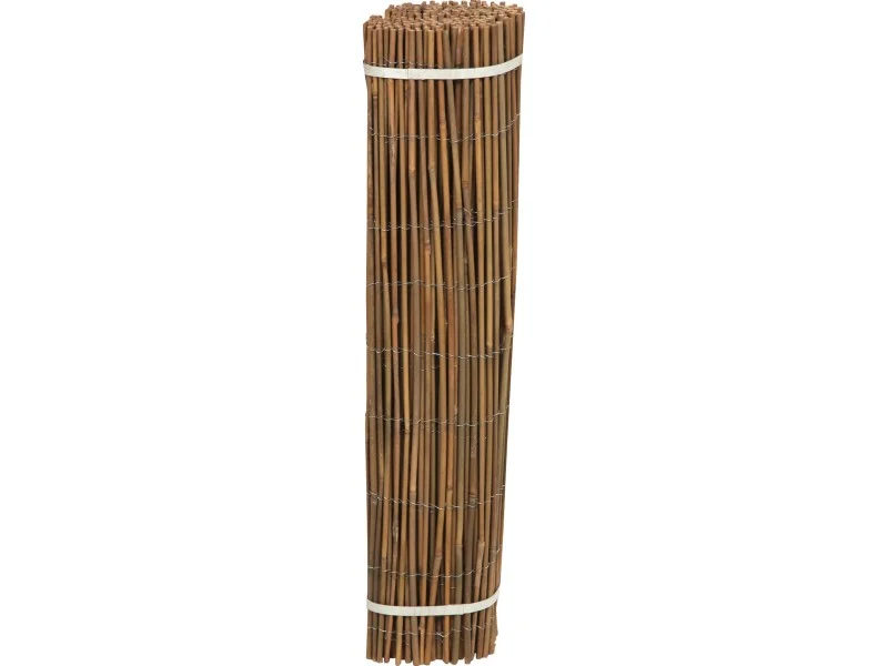 obi2-1097543