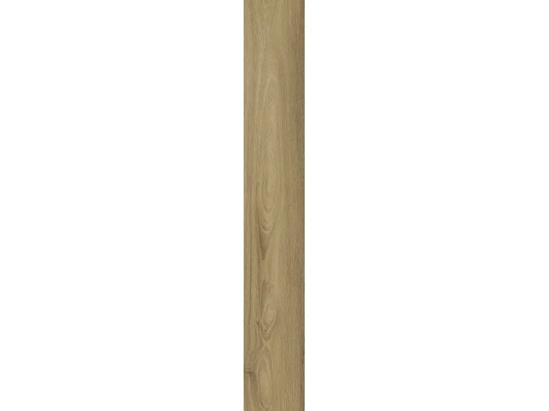 obi3-1145066