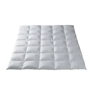 ramo-handels2-1307934